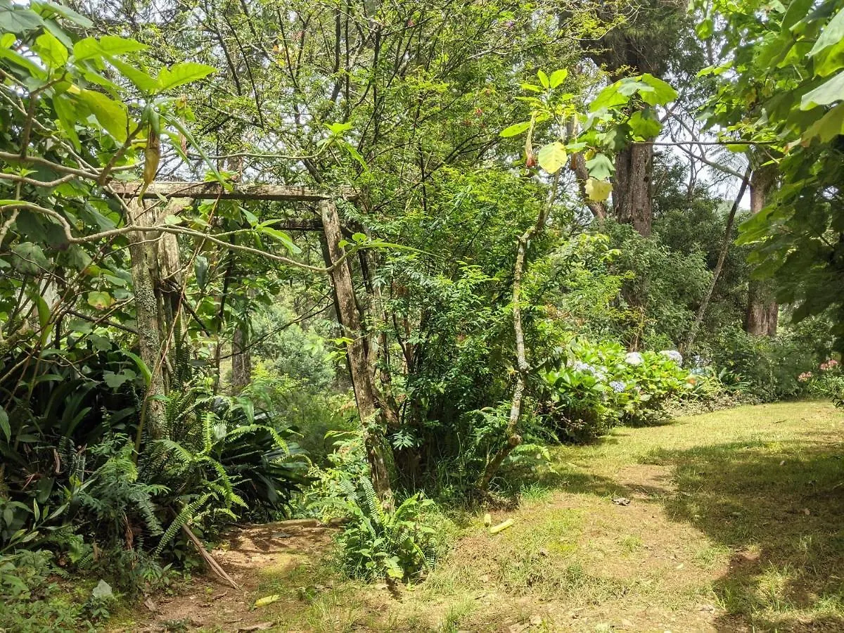 Selwood Cottage Nuwara Eliya Guest house