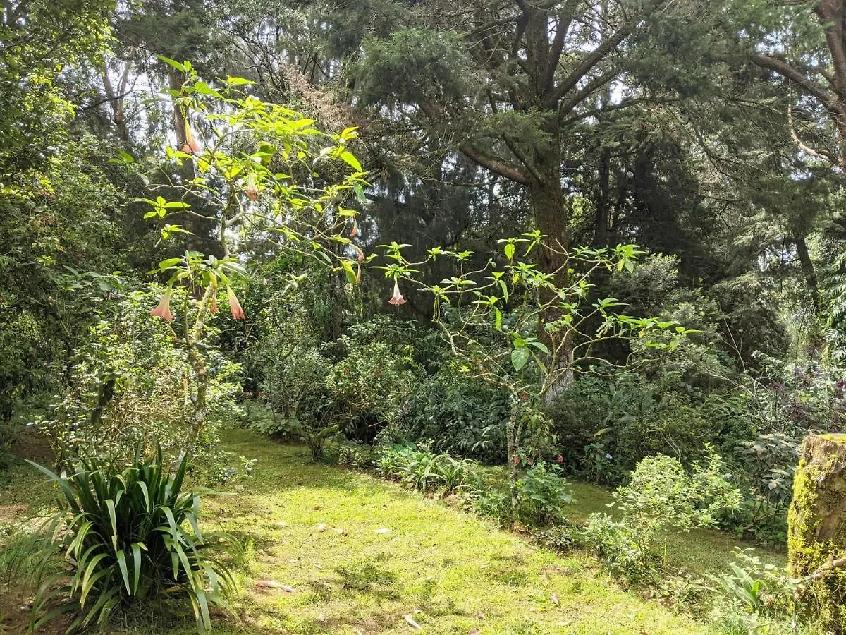 Guest house Selwood Cottage Nuwara Eliya